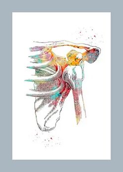 Miglioramento della microcircolazione nei tessuti articolari e muscolari