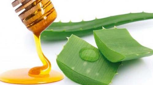 Il miele e l'aloe aiutano a far fronte ai sintomi dell'osteocondrosi